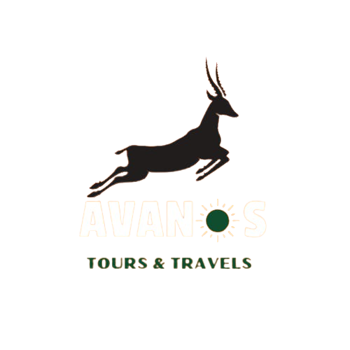 Avanos Travel Logo